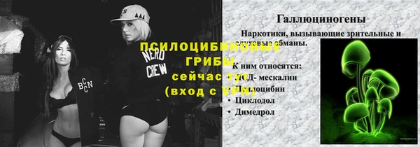 сатива Нефтекумск