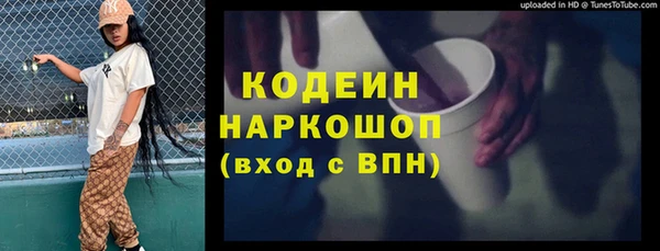 прущие грибы Наволоки