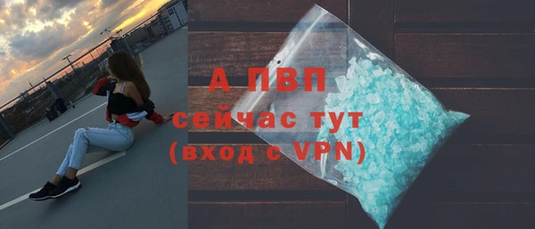 прущие грибы Наволоки