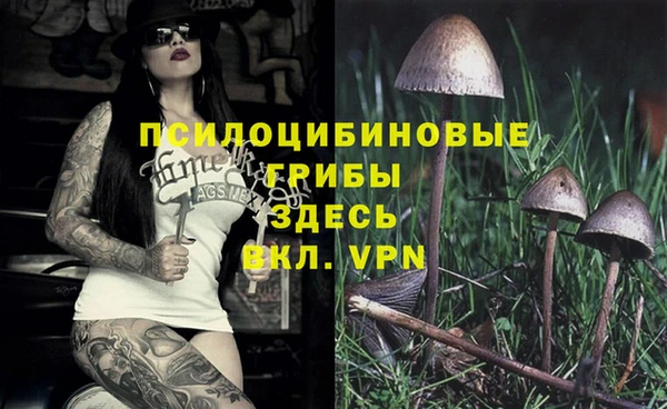прущие грибы Наволоки