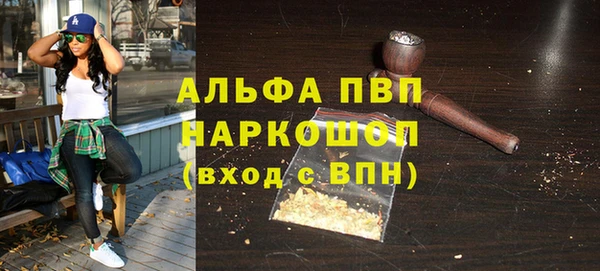 сатива Нефтекумск