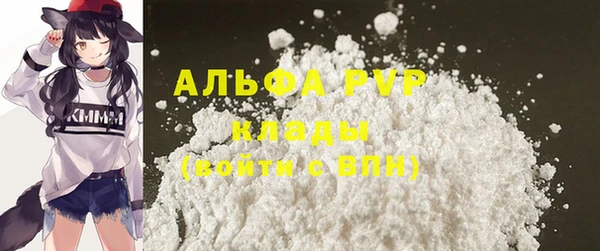 прущие грибы Наволоки