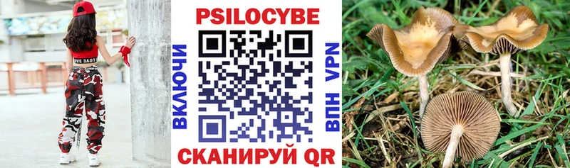 Псилоцибиновые грибы GOLDEN TEACHER  где купить наркотик  Учалы 