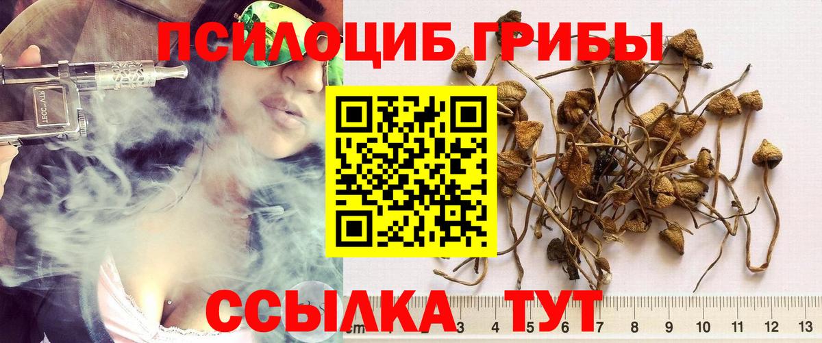 закладка  Псилоцибиновые грибы мицелий  Вход с VPN  Учалы 